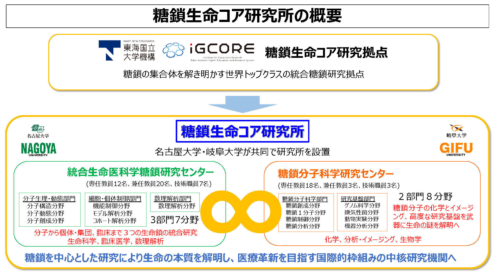 糖鎖生命コア研究の概要.jpg